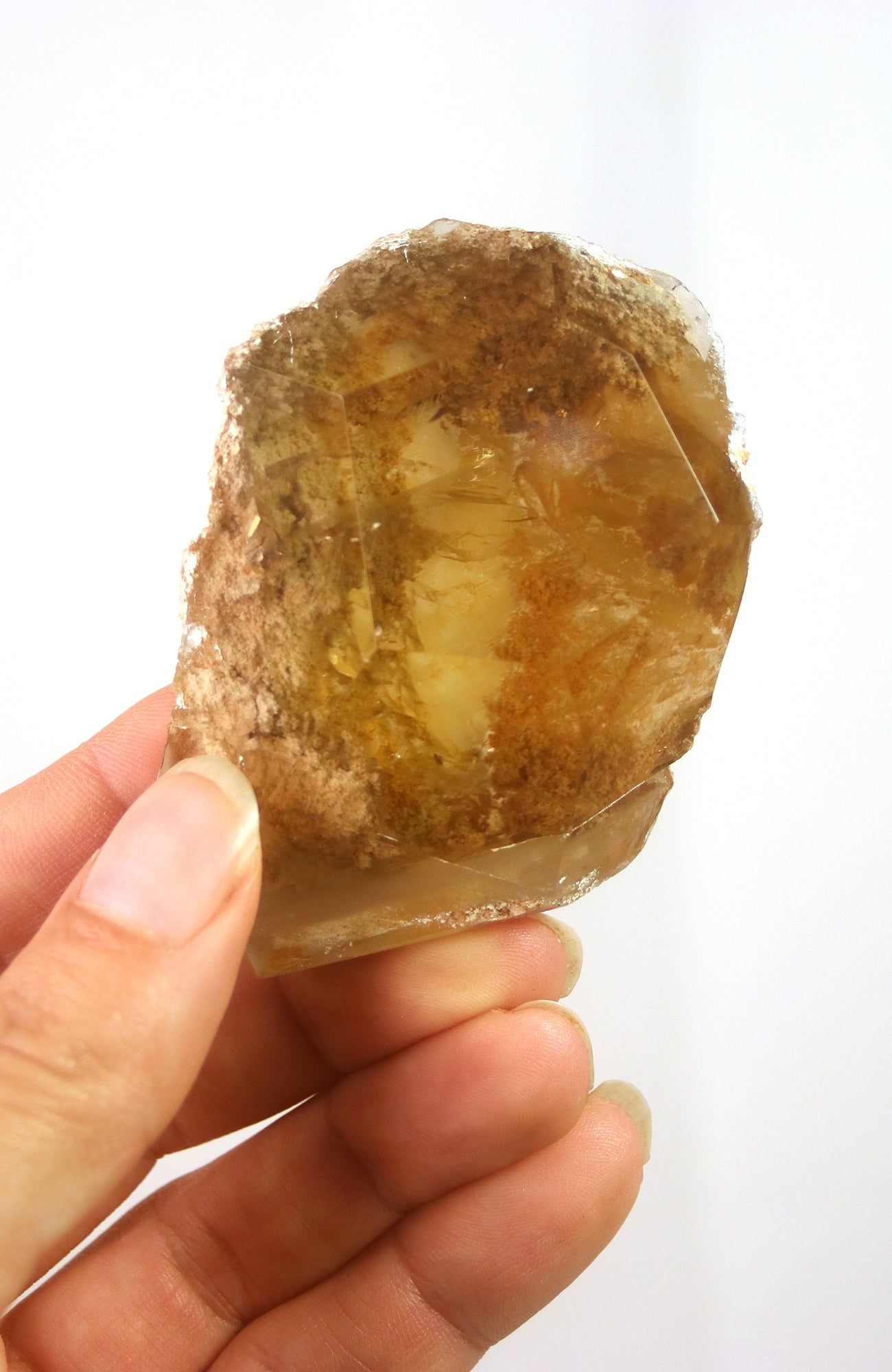 Lodalite Quartz Freeform Generator